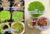 莴笋炒肉：清脆爽口，肉丝嫩滑，家常快手菜