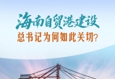 一见 · 海南自贸港建设，总书记为何如此关切？