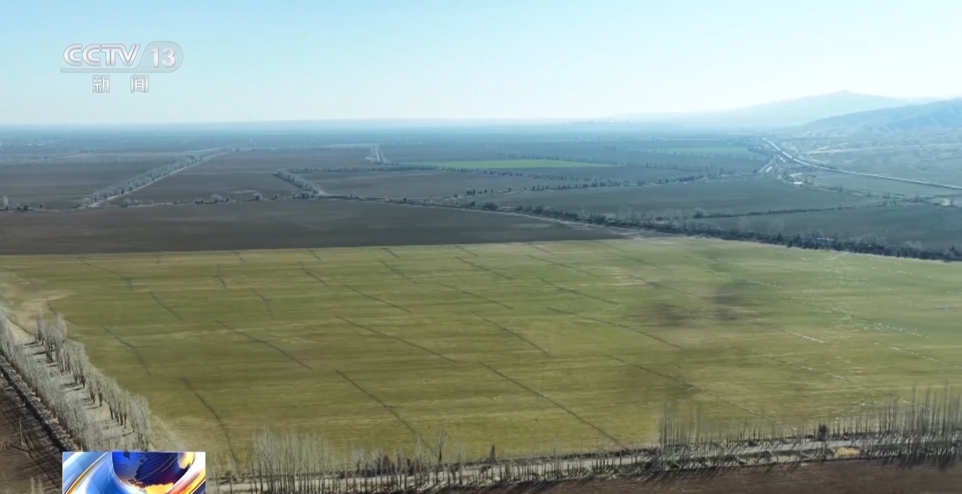 视频丨冬小麦田管进入关键期 专家“把脉问诊”促丰收